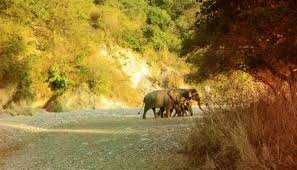 Delhi to Rajaji National Park Tour Package